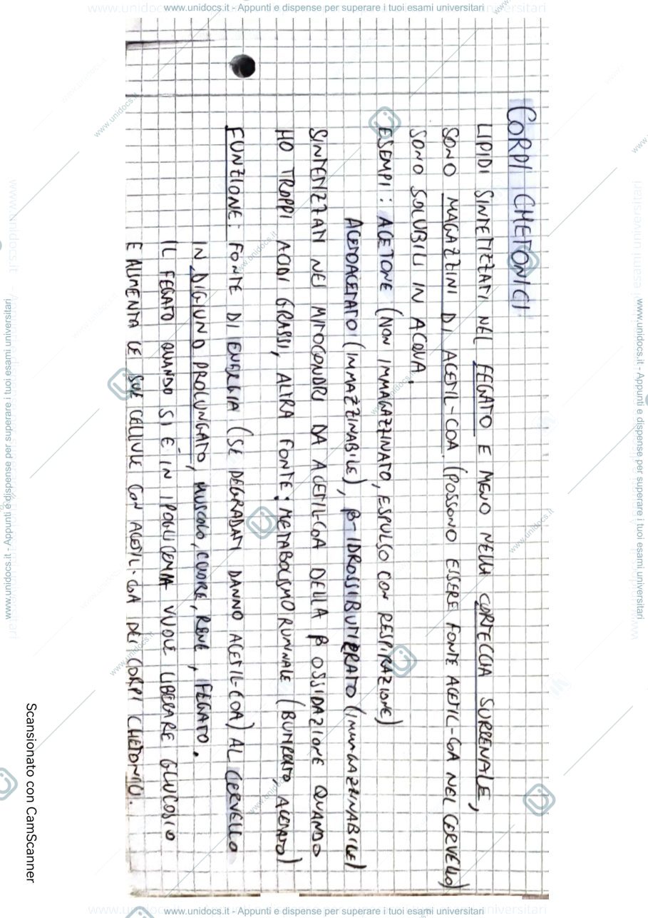 Anteprima pagina 1 — Corpi chetonici 
