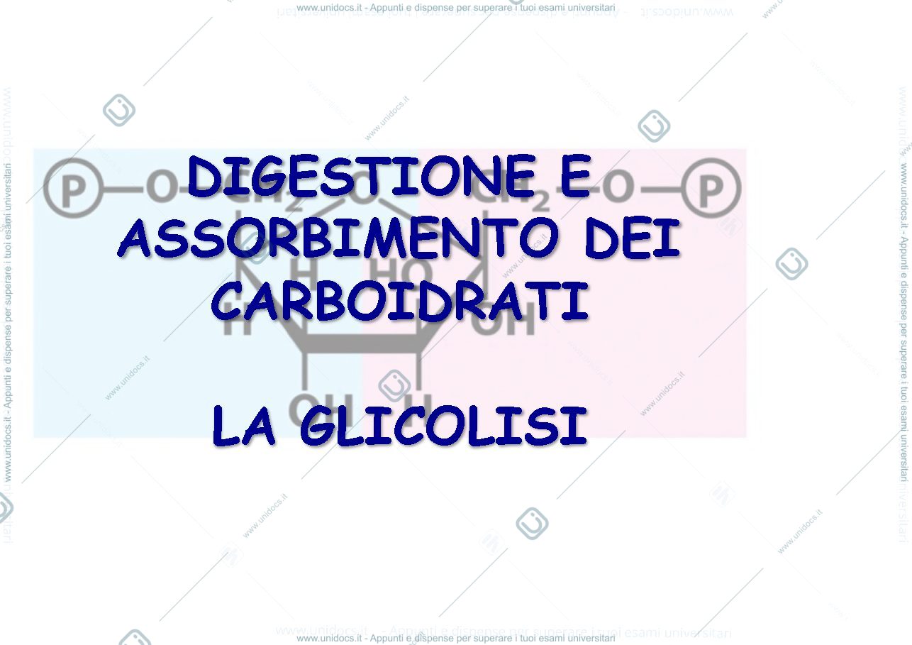 Anteprima pagina 2 — metabolismo carboidrati