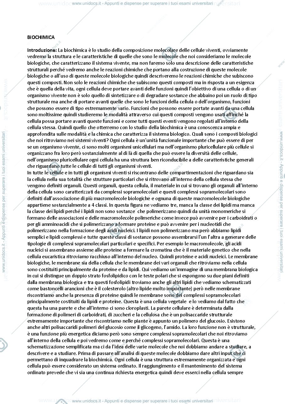Anteprima pagina 1 — Biochimica 