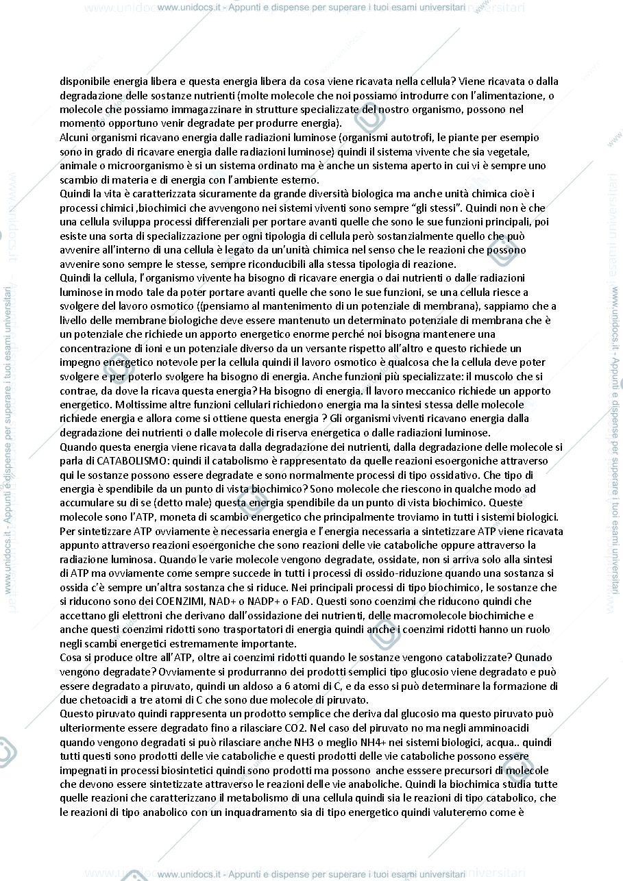 Anteprima pagina 2 — Biochimica 