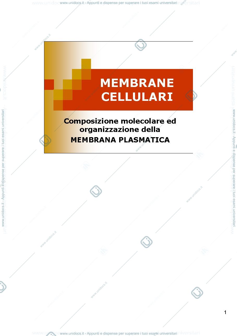 Anteprima pagina 1 — i lipidi di membrana