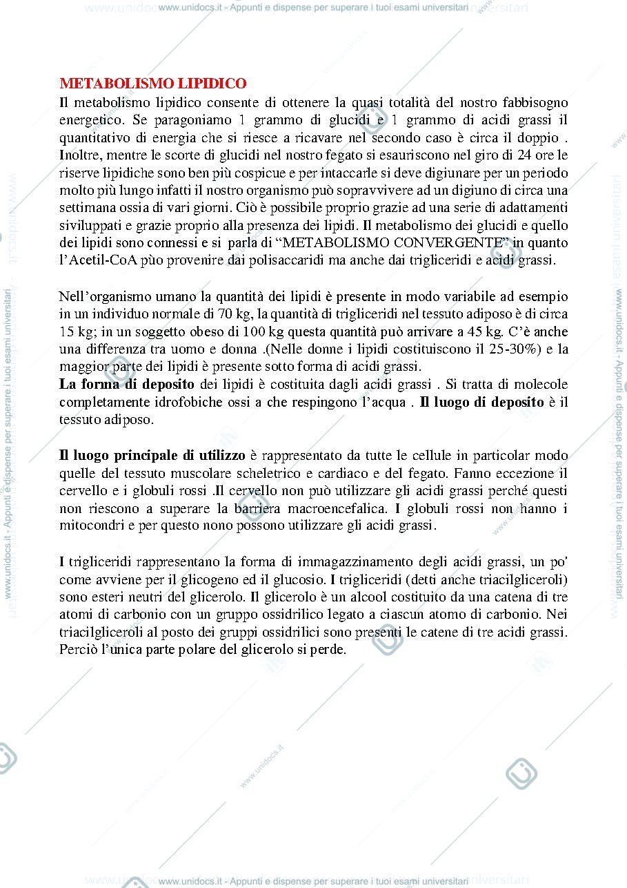 Anteprima pagina 1 — Metabolismo