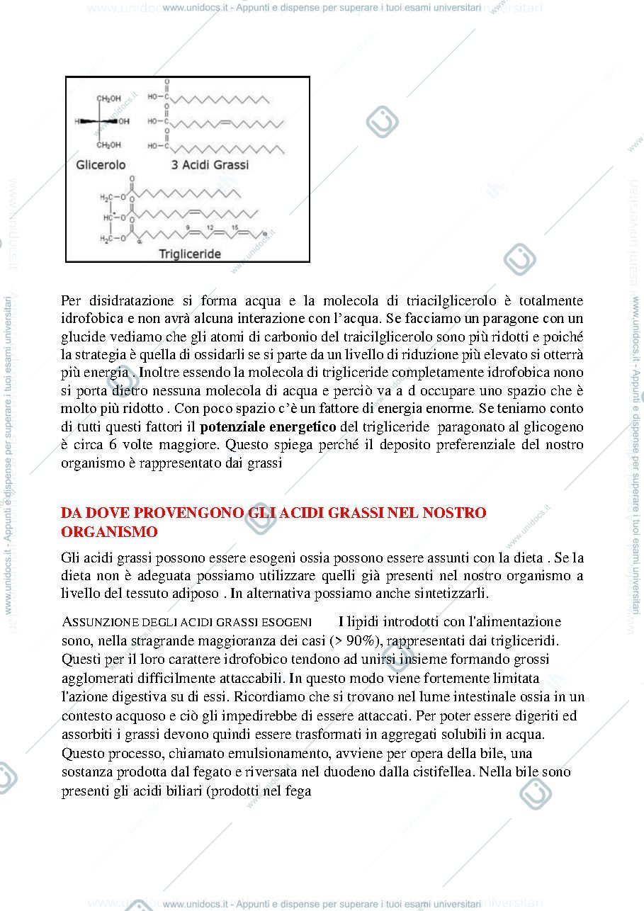 Anteprima pagina 2 — Metabolismo