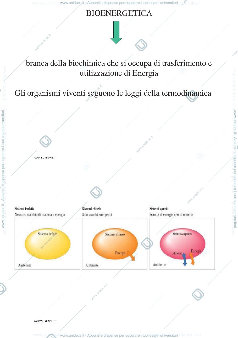 Anteprima pagina 1 — Bioenergetica