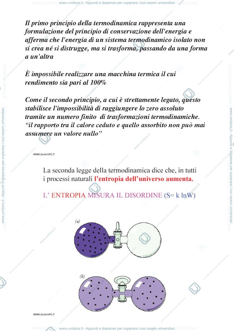 Anteprima pagina 2 — Bioenergetica