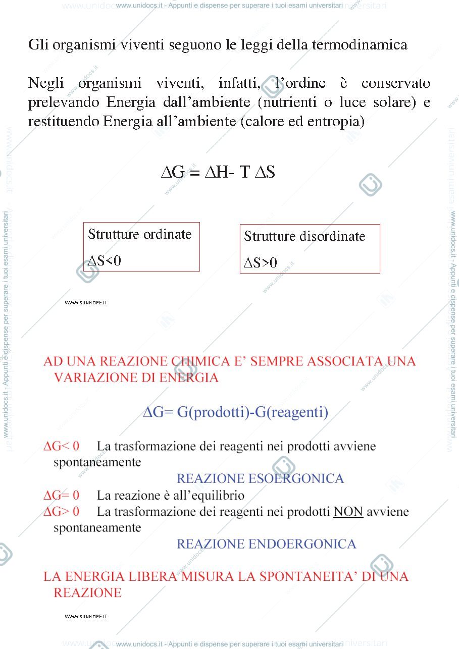 Anteprima pagina 3 — Bioenergetica