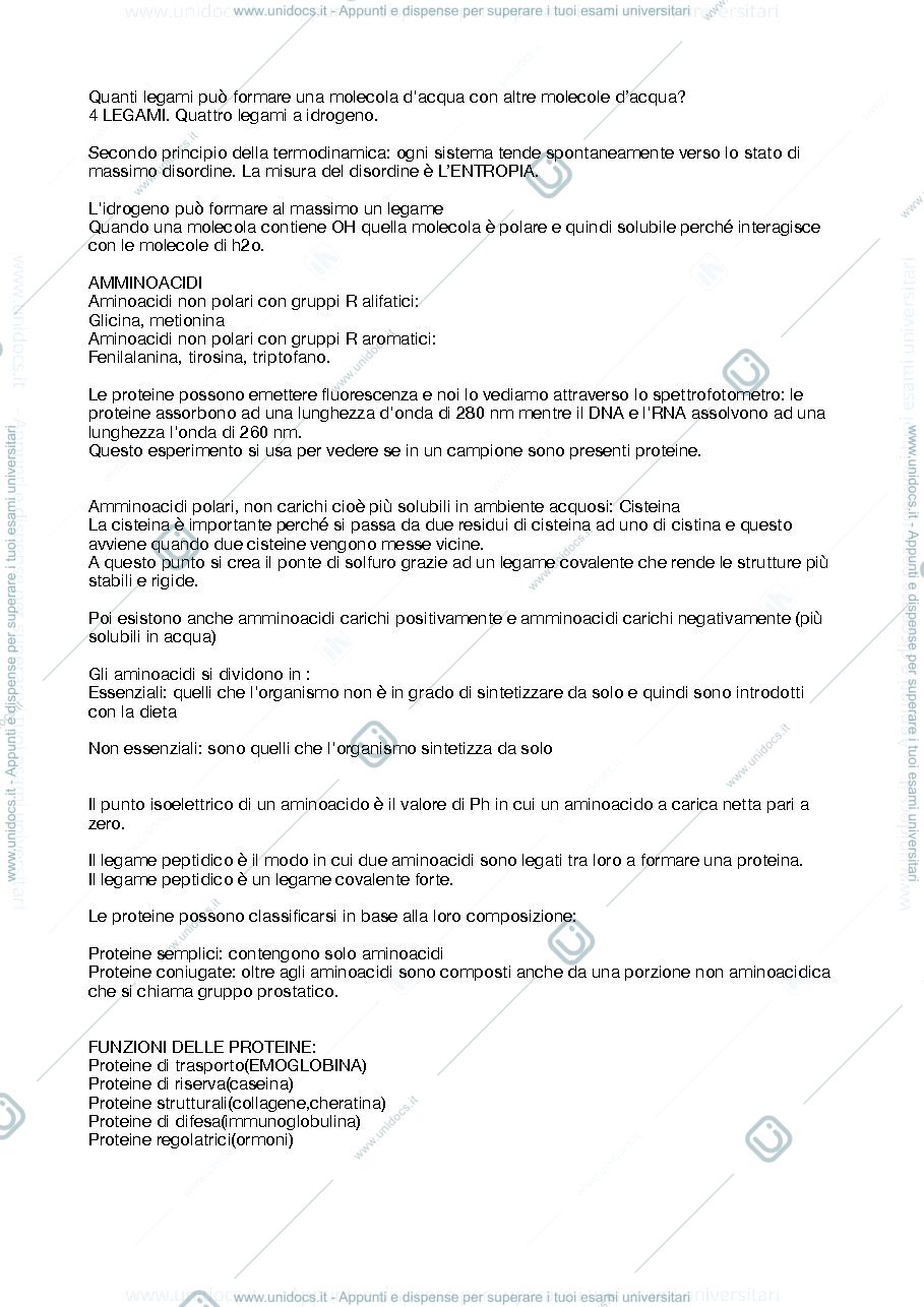 Anteprima pagina 1 — biochimica