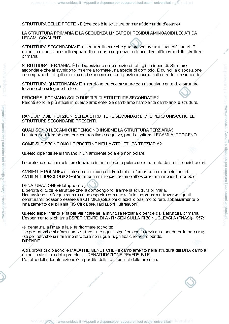 Anteprima pagina 2 — biochimica