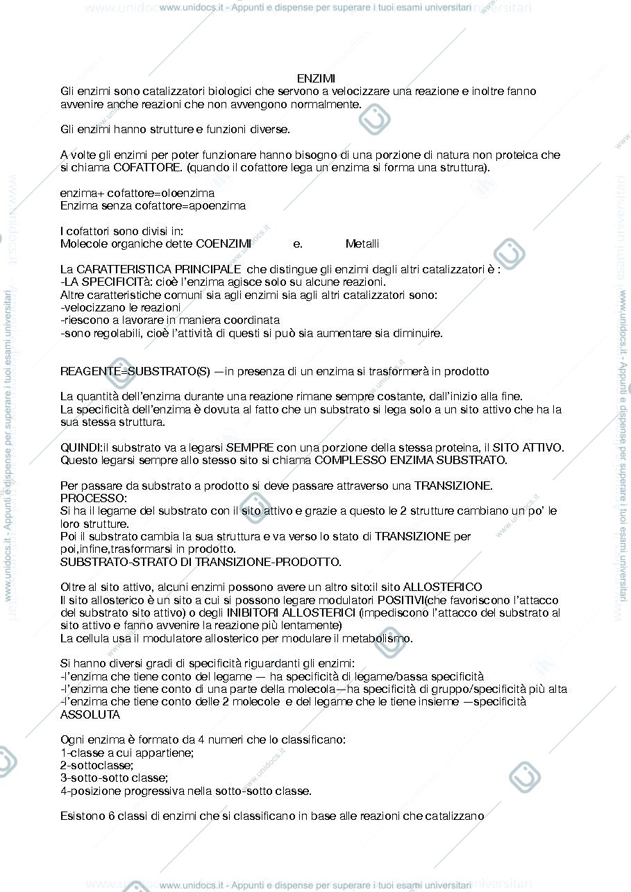 Anteprima pagina 3 — biochimica