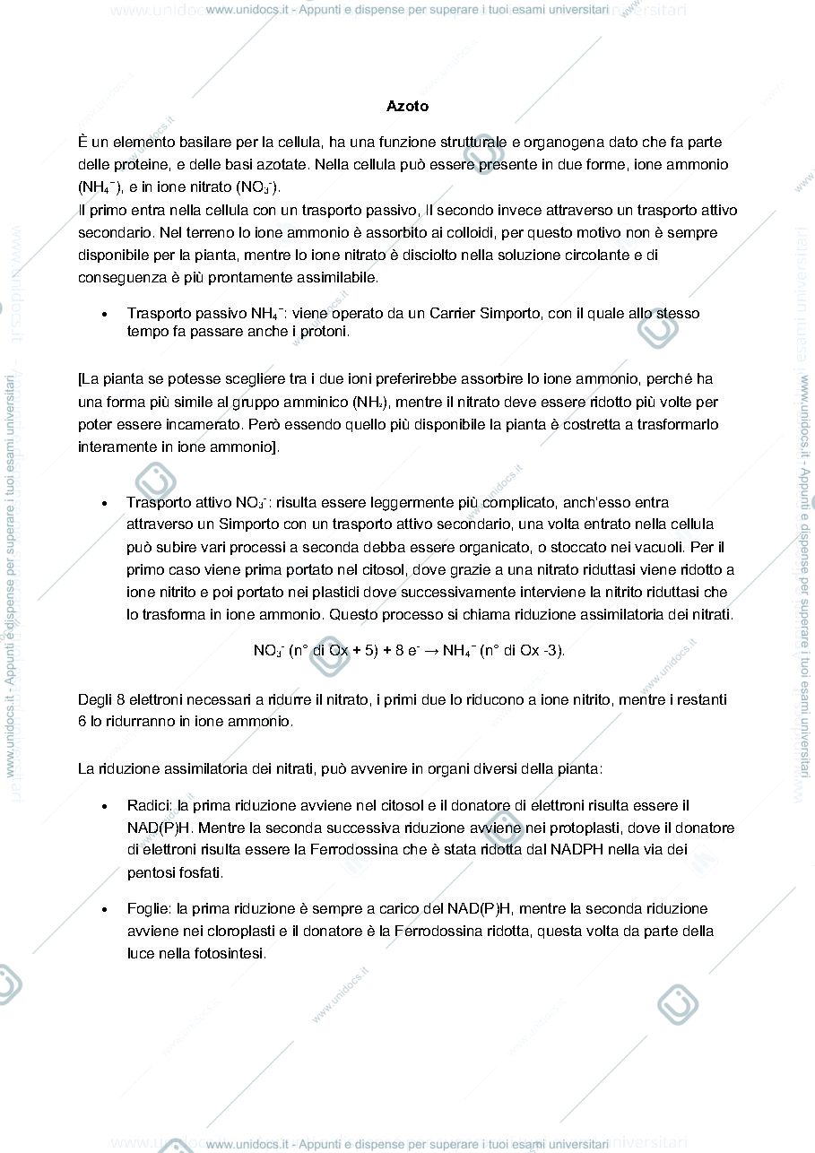 Anteprima pagina 1 — azoto