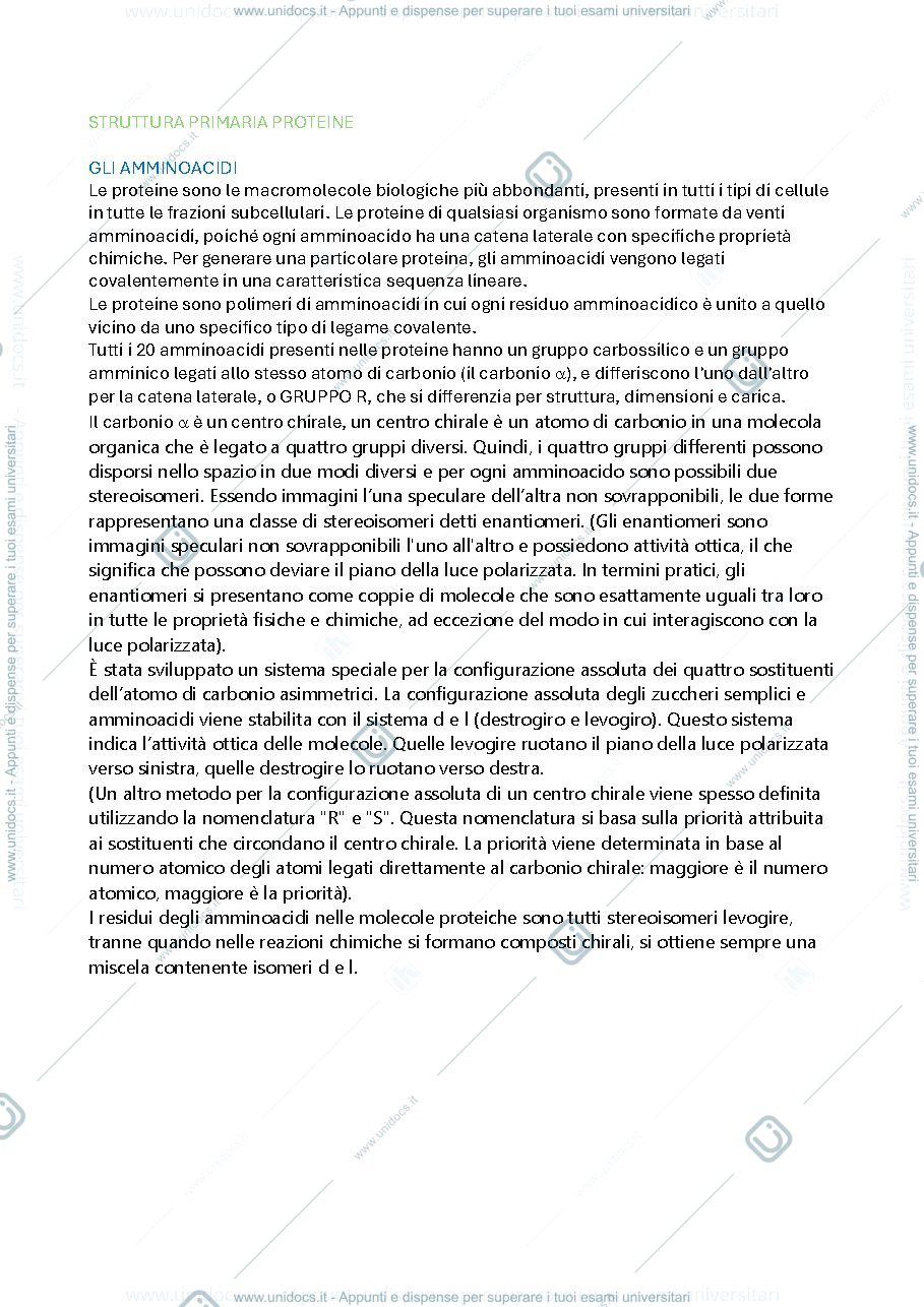 Anteprima pagina 1 — Struttura primaria proteine