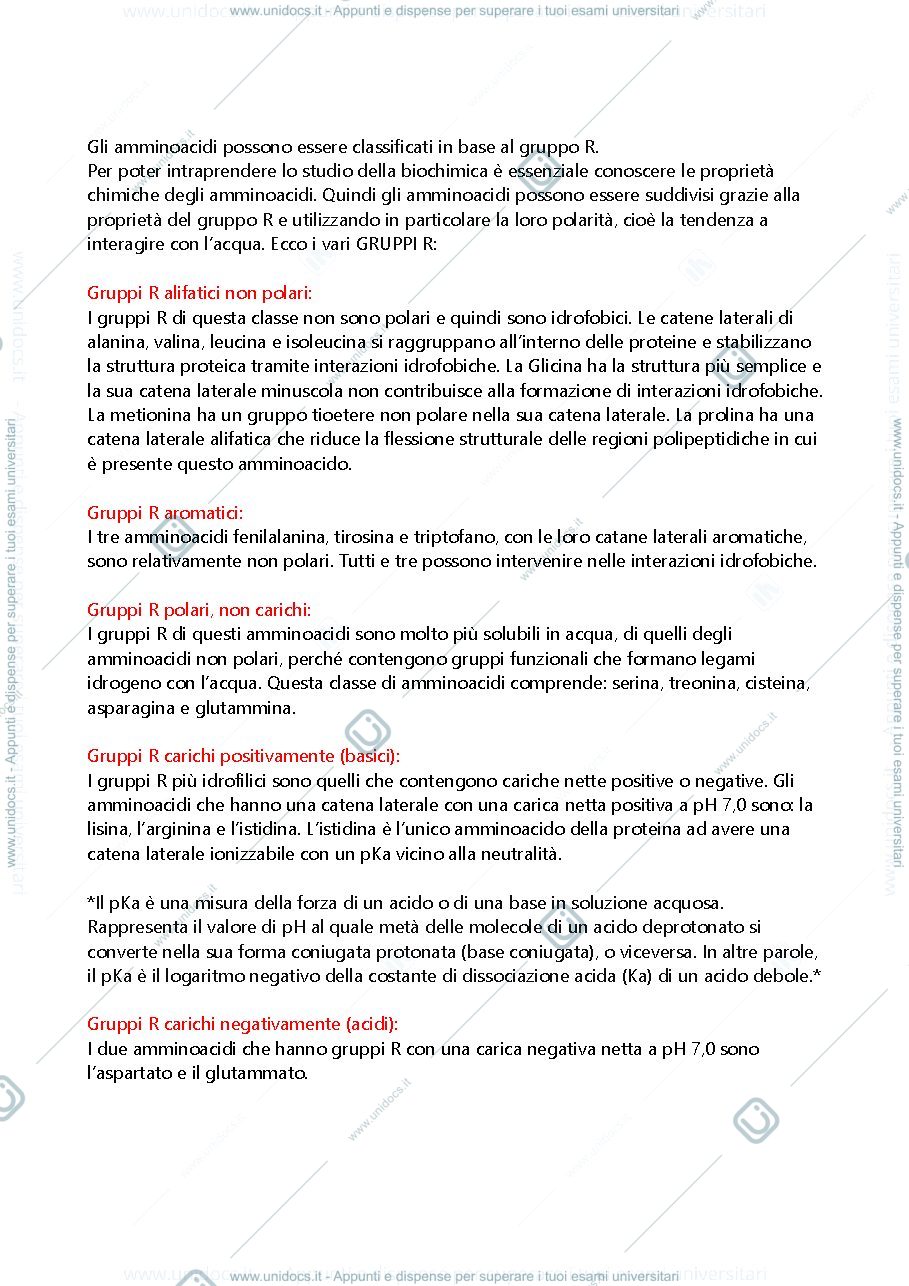 Anteprima pagina 2 — Struttura primaria proteine