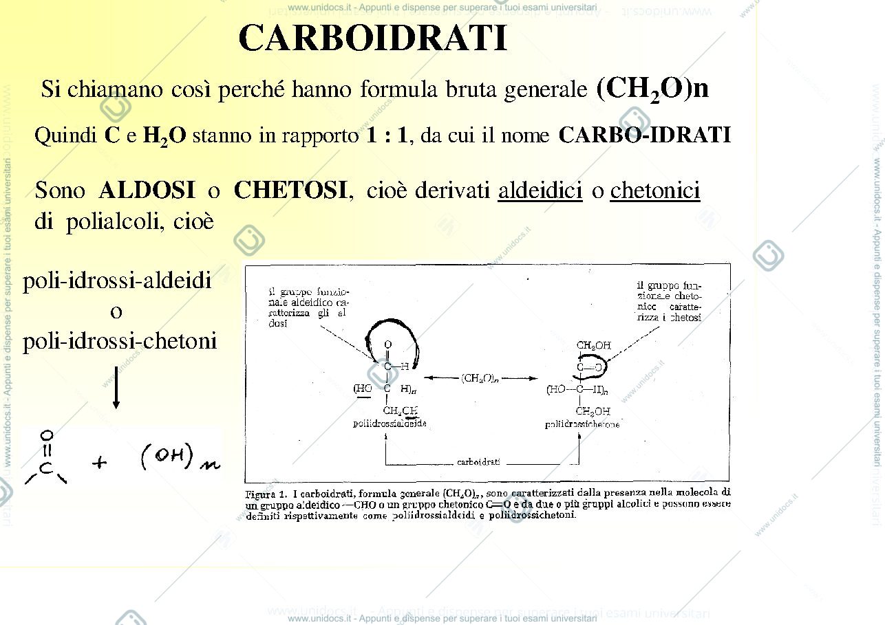 Anteprima pagina 1 — carboidrati