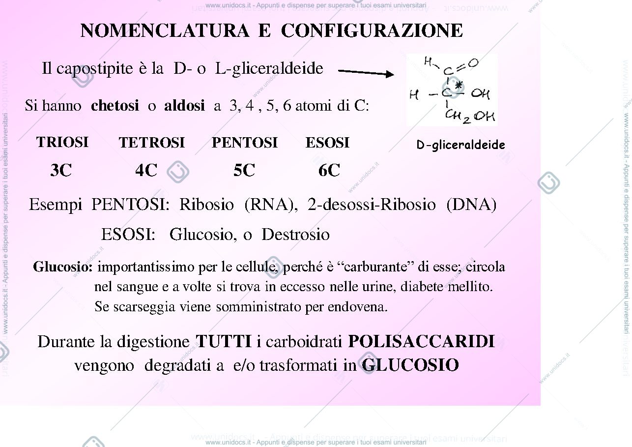 Anteprima pagina 3 — carboidrati