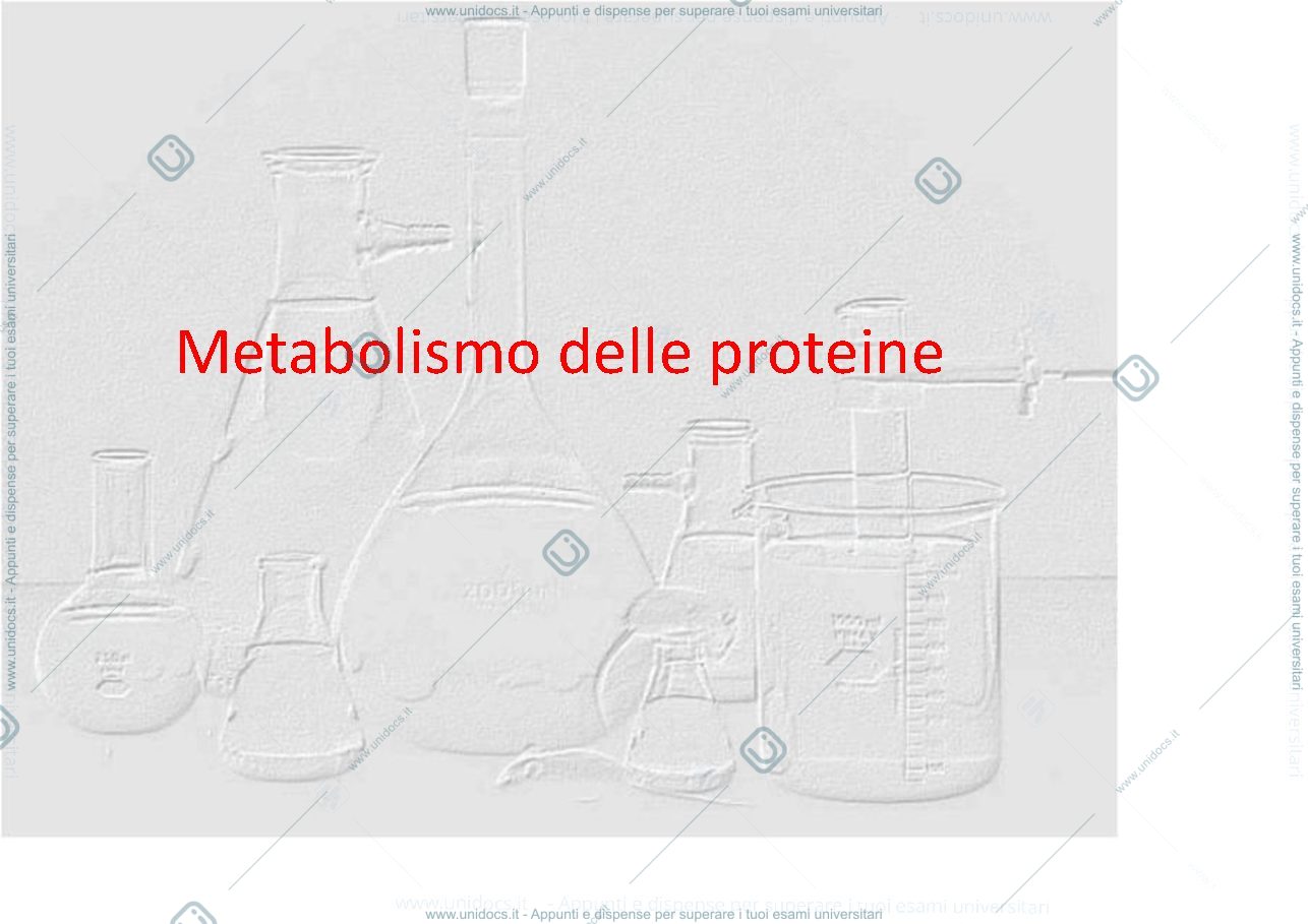 Anteprima pagina 1 — metabolismo delle proteine