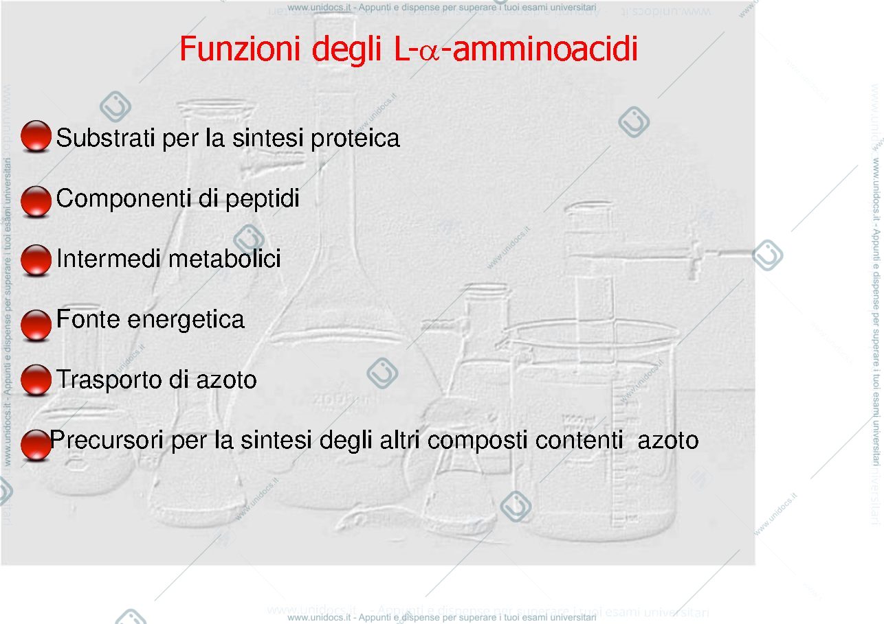 Anteprima pagina 3 — metabolismo delle proteine
