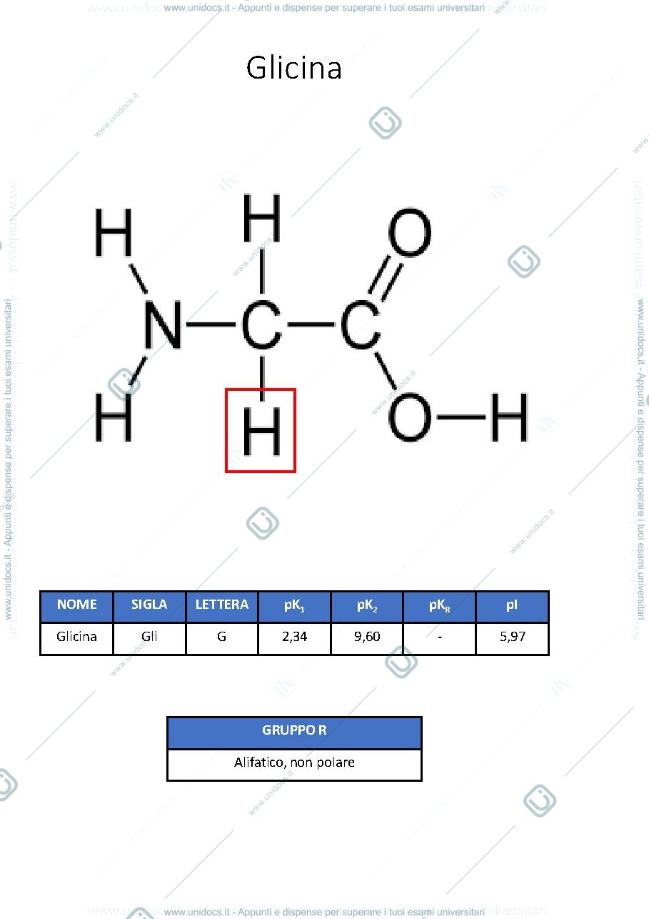 Anteprima pagina 1 — FLASHCARD AMMINOACIDI