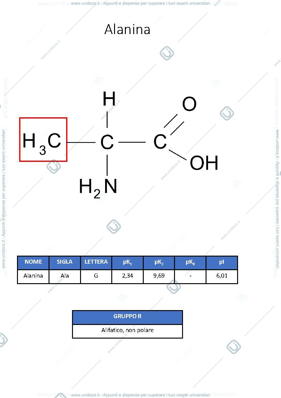 Anteprima pagina 2 — FLASHCARD AMMINOACIDI