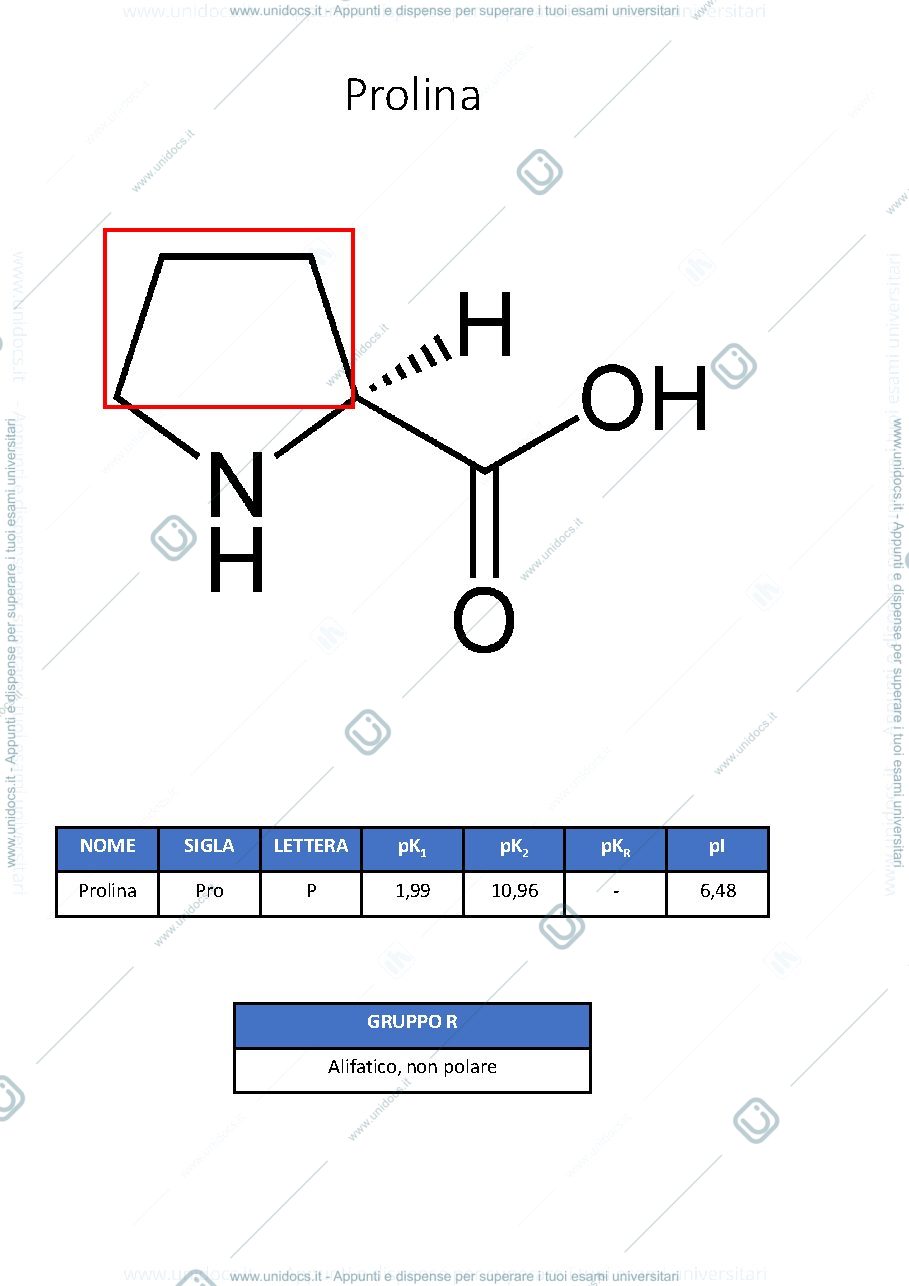 Anteprima pagina 3 — FLASHCARD AMMINOACIDI