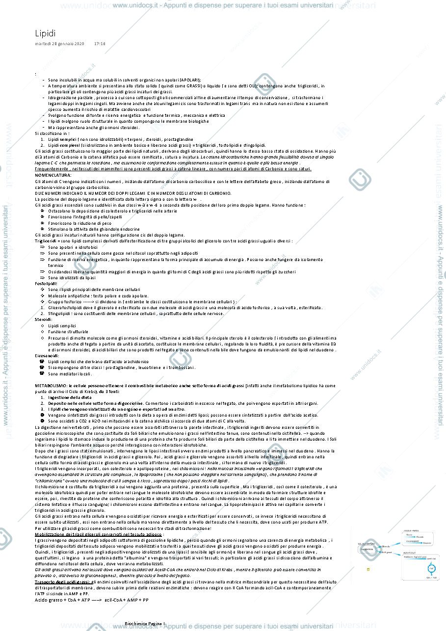 Anteprima pagina 1 — Lipidi