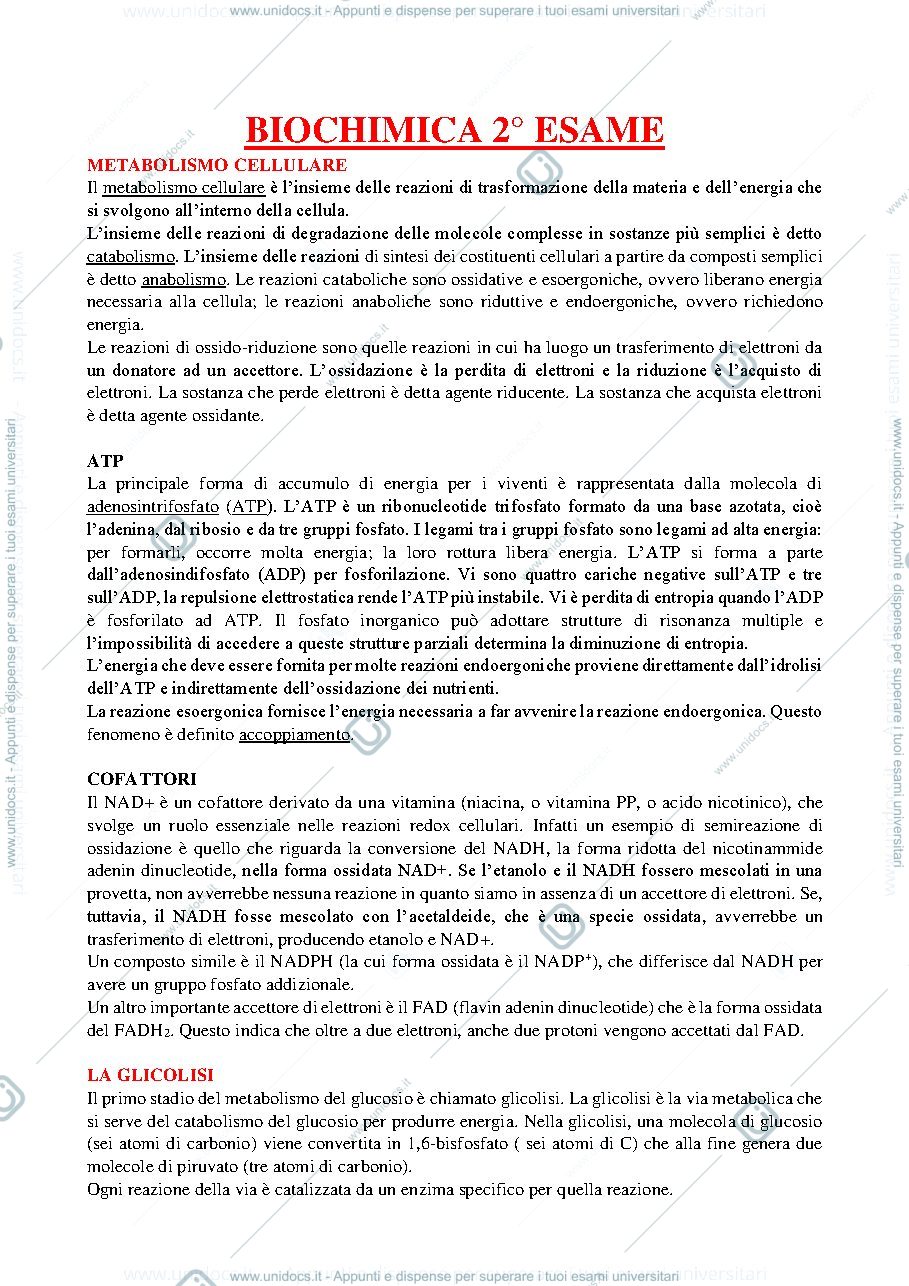 Anteprima pagina 1 — Biochima parte 2