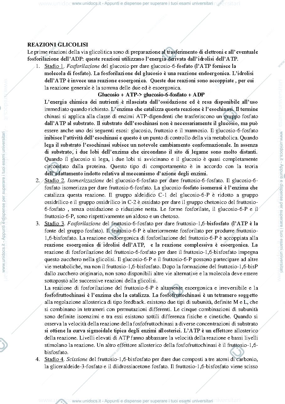 Anteprima pagina 2 — Biochima parte 2