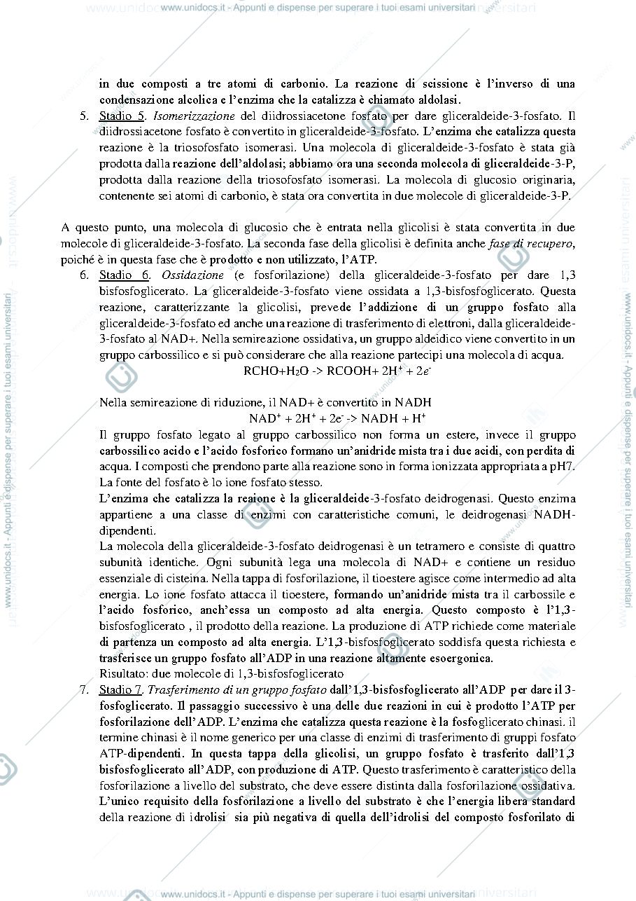 Anteprima pagina 3 — Biochima parte 2