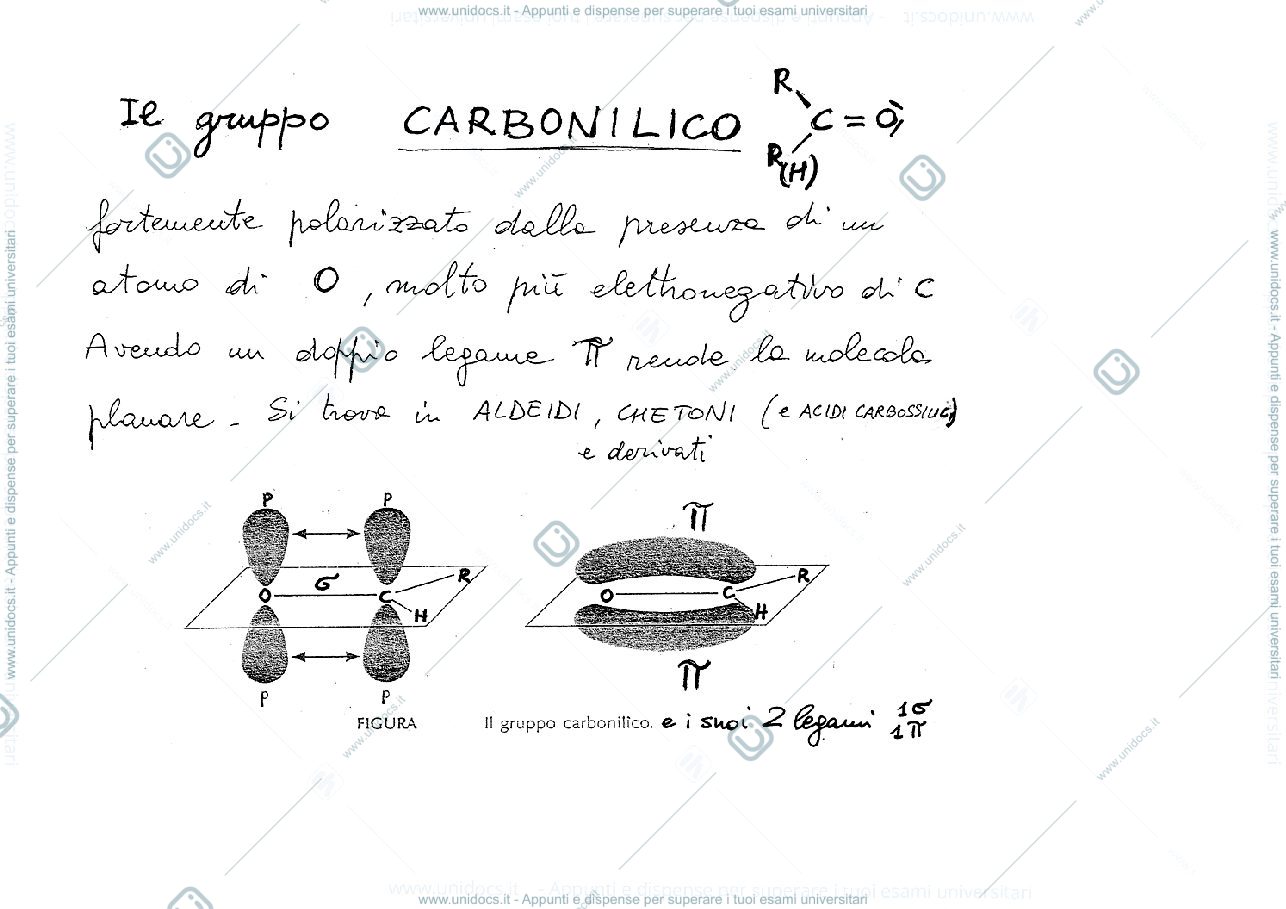 Anteprima pagina 1 — gruppi funzionali