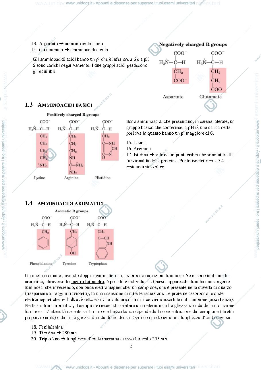 Anteprima pagina 2 — BIOCHIMICA GENERALE 