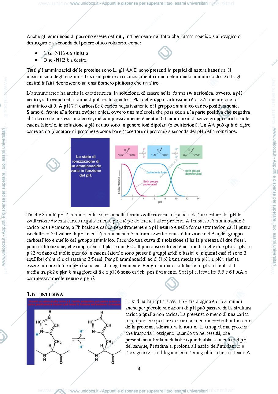 Anteprima pagina 4 — BIOCHIMICA GENERALE 