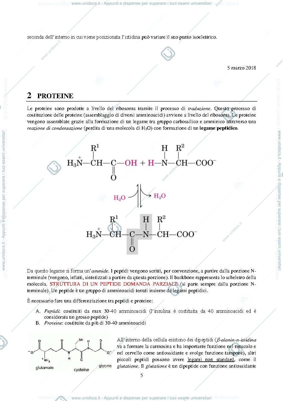 Anteprima pagina 5 — BIOCHIMICA GENERALE 