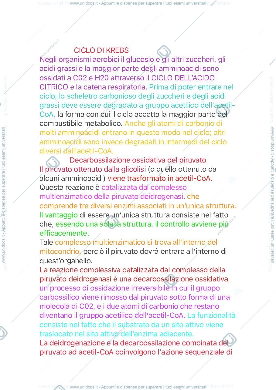 Anteprima pagina 1 — Ciclo di Krebs