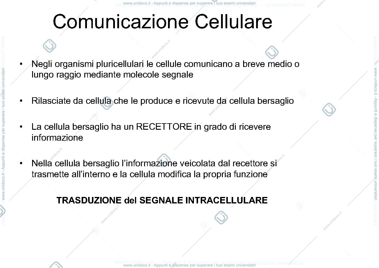 Anteprima pagina 1 — Comunicazione Cellulare