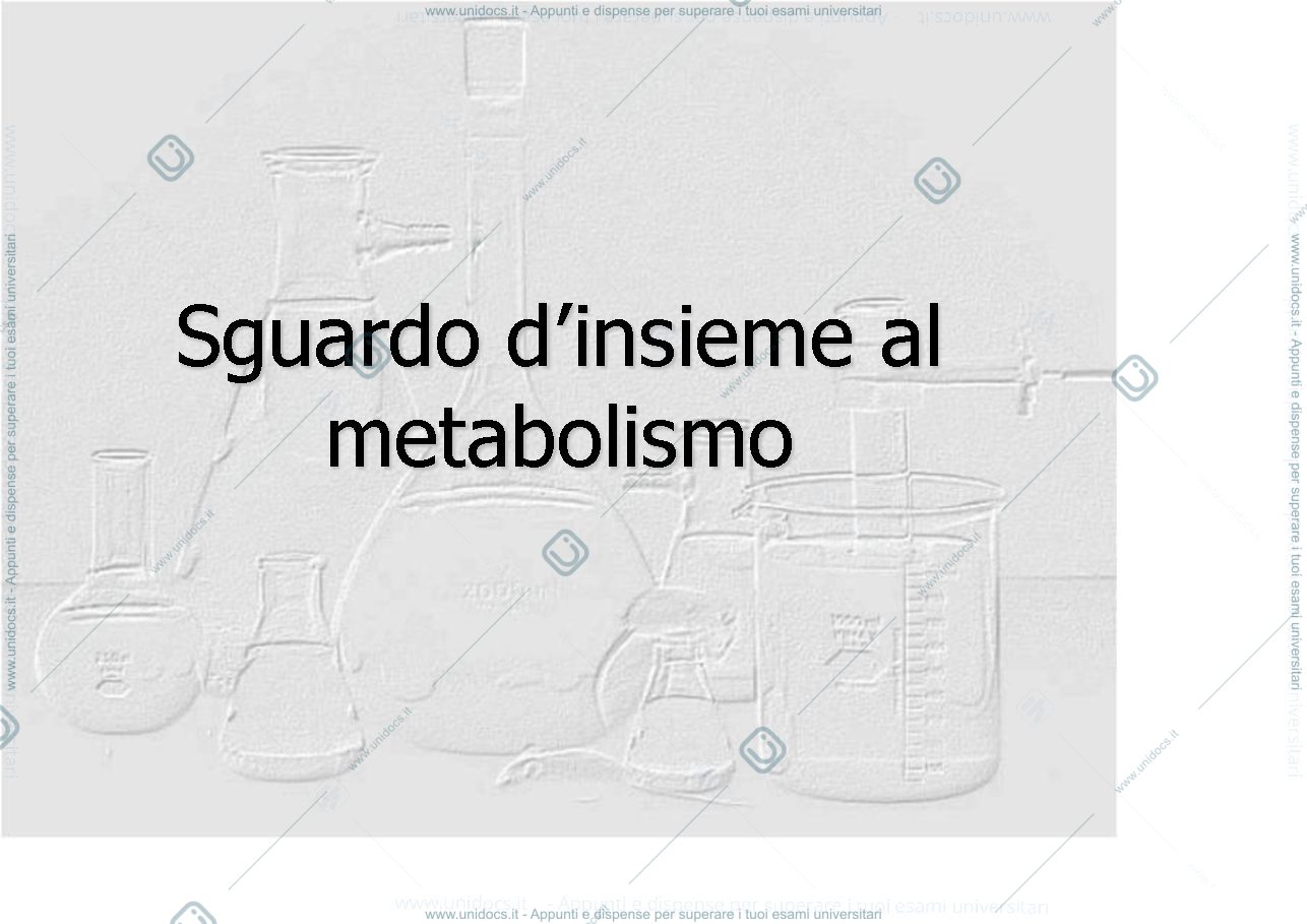Anteprima pagina 1 — metabolismo