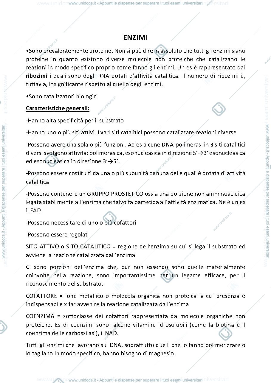 Anteprima pagina 1 — enzimi