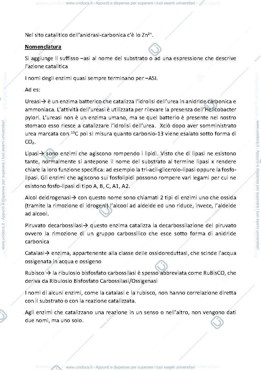 Anteprima pagina 2 — enzimi