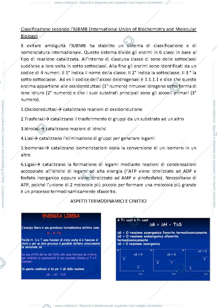 Anteprima pagina 3 — enzimi