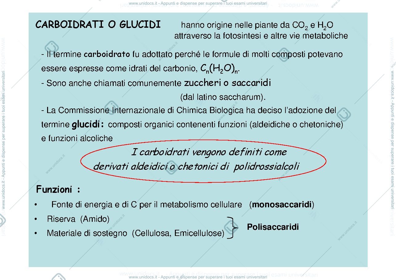 Anteprima pagina 1 — carboidrati