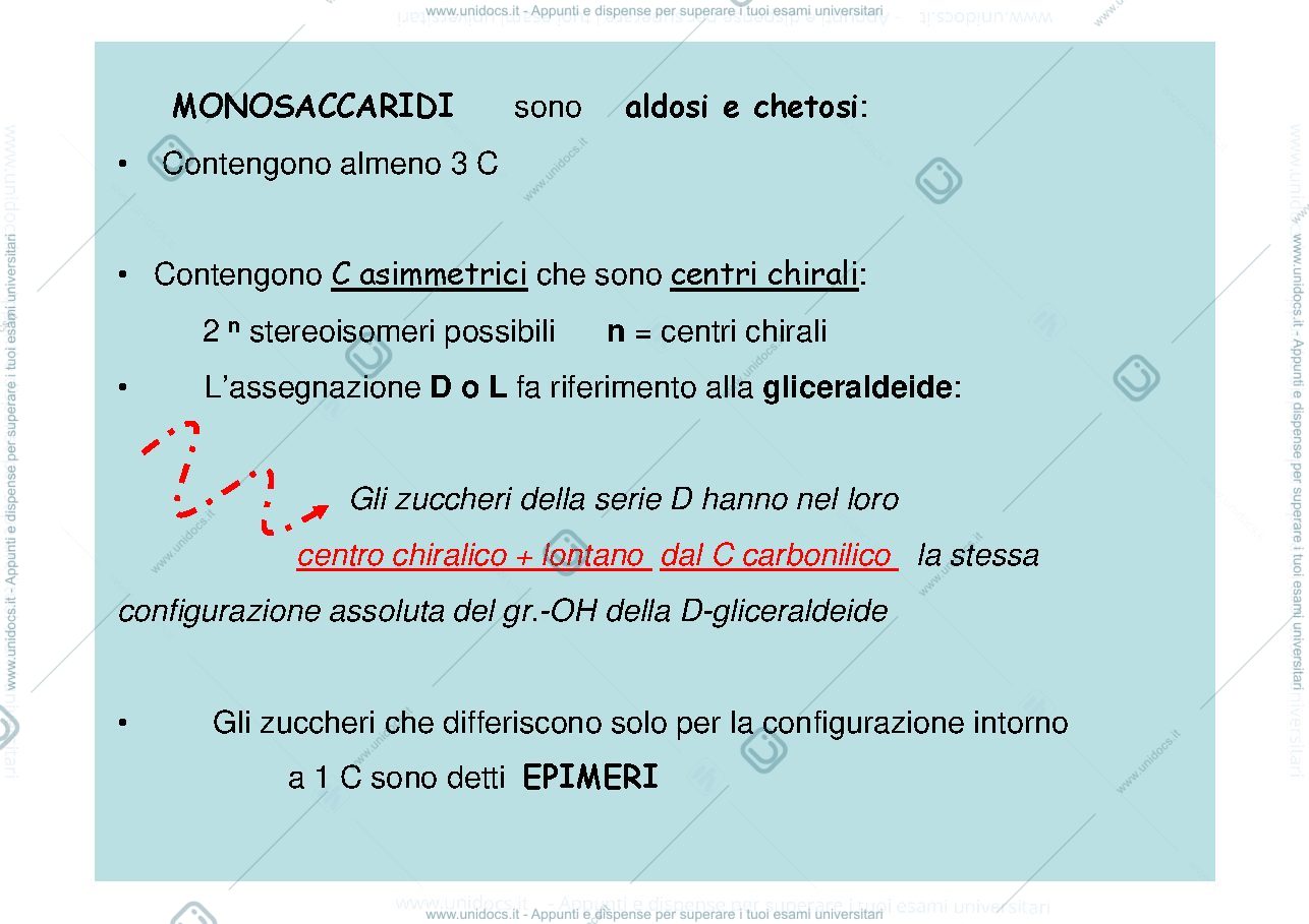 Anteprima pagina 3 — carboidrati