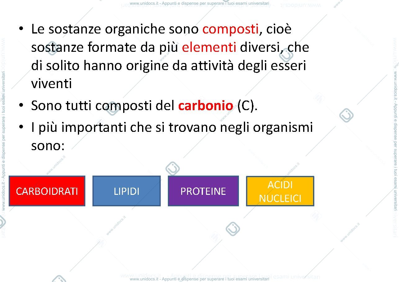 Anteprima pagina 2 — carboidrati e lipidi