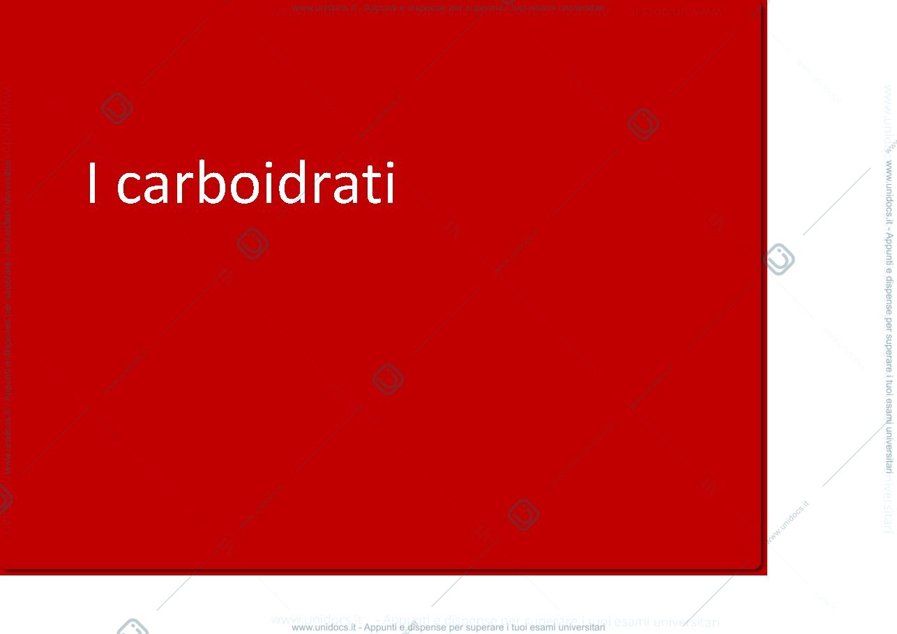 Anteprima pagina 3 — carboidrati e lipidi