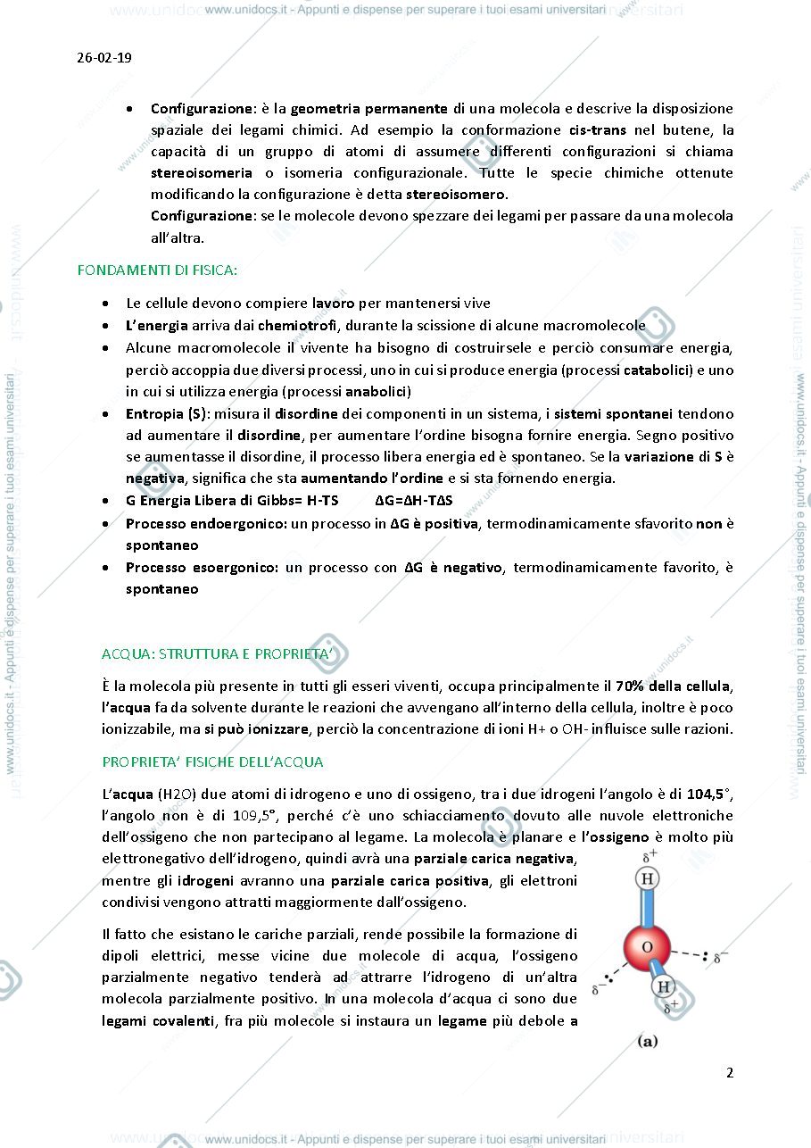 Anteprima pagina 2 — Biochimica 