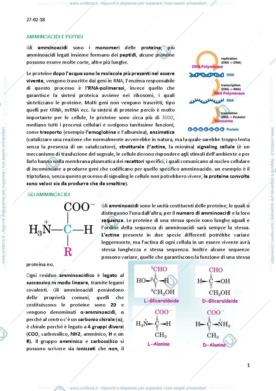 Anteprima pagina 4 — Biochimica 