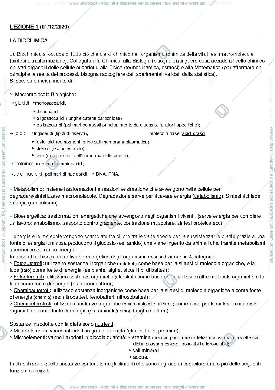 Anteprima pagina 2 — ESAME BIOCHIMICA PRIMO ANNO 
