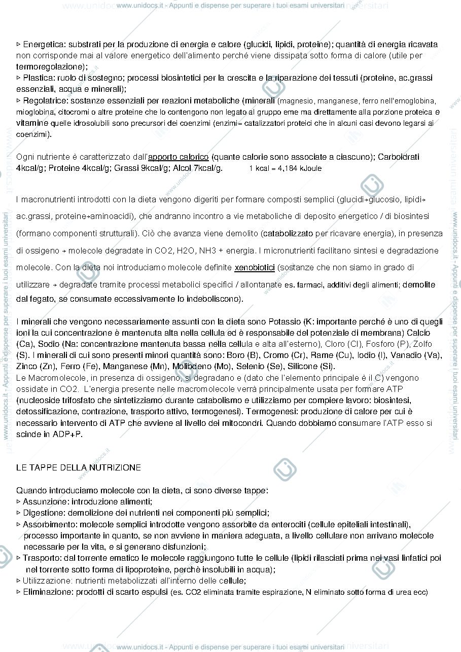 Anteprima pagina 3 — ESAME BIOCHIMICA PRIMO ANNO 