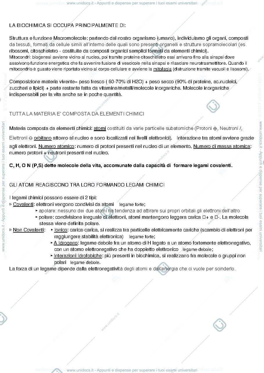 Anteprima pagina 4 — ESAME BIOCHIMICA PRIMO ANNO 