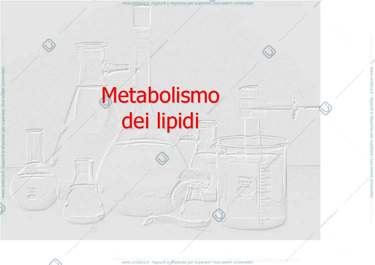 Anteprima pagina 1 — meatabolismo dei lipidi