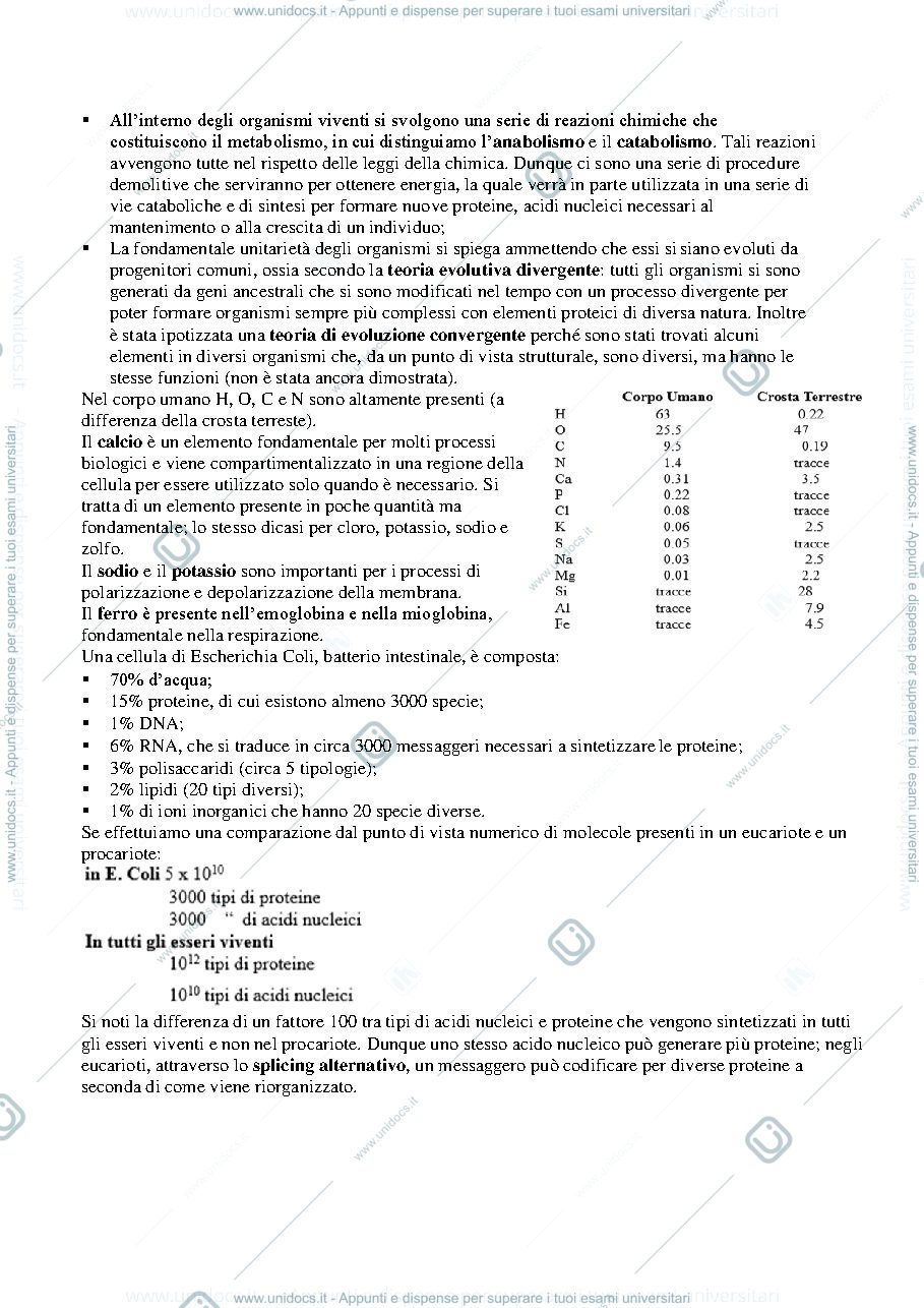Anteprima pagina 2 — Biochimica