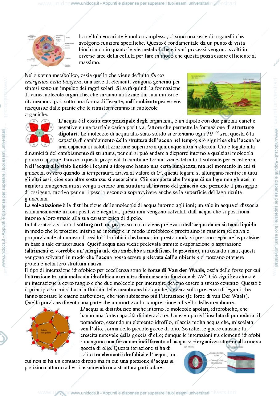 Anteprima pagina 4 — Biochimica