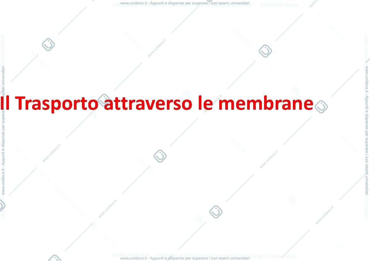 Anteprima pagina 1 — il trasporto